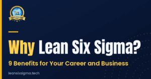 why lean six sigma